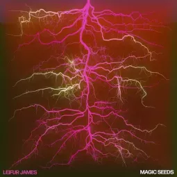 MAGIC SEEDS