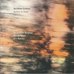 ASHES TO GOLD (2024)