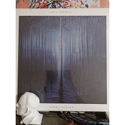 NIGHT FOREST (2016)
