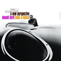 A NEW PERSPECTIVE (2024)