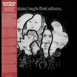 FIRST ALBUM (USA)