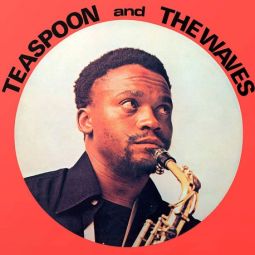 TEASPOON & THE WAVES