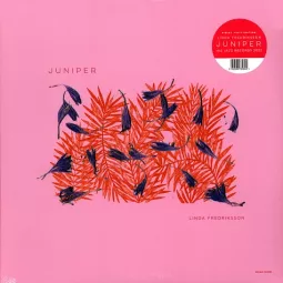 JUNIPER (LIMITED PURPLE LP)