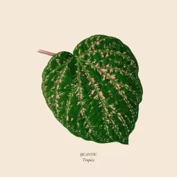TROPICS 12''