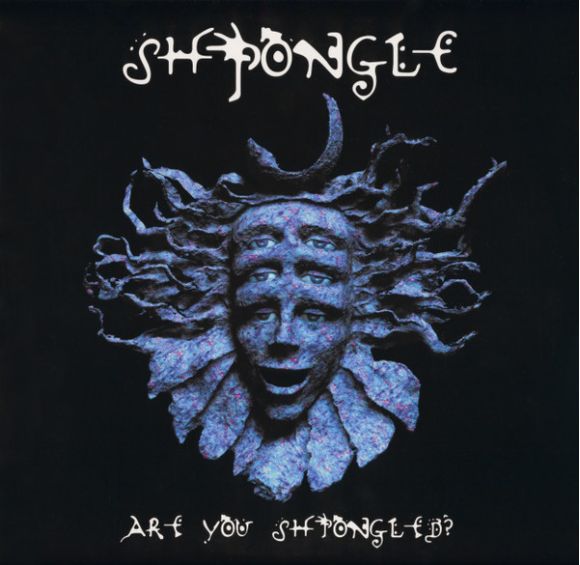 ARE YOU SHPONGLED? (2022)