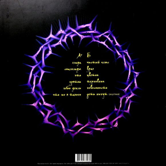 ЦВЕТЫ И ТЕРНИИ (2010), изображение 2