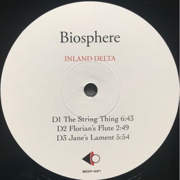 INLAND DELTA (2023), изображение 7