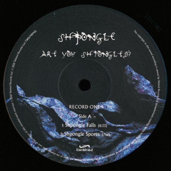 ARE YOU SHPONGLED? (2022), изображение 3