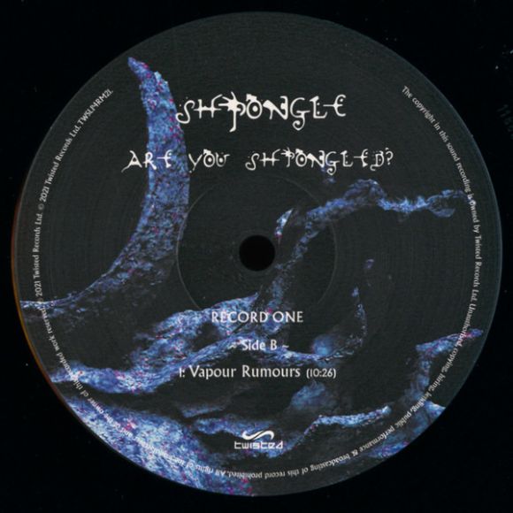 ARE YOU SHPONGLED? (2022), изображение 4