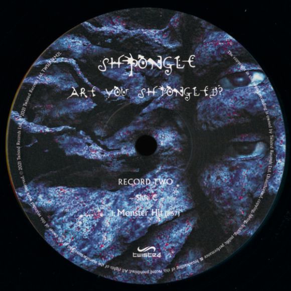 ARE YOU SHPONGLED? (2022), изображение 5