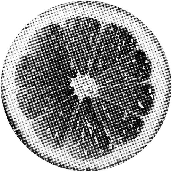 LEMONADE (2017), изображение 13