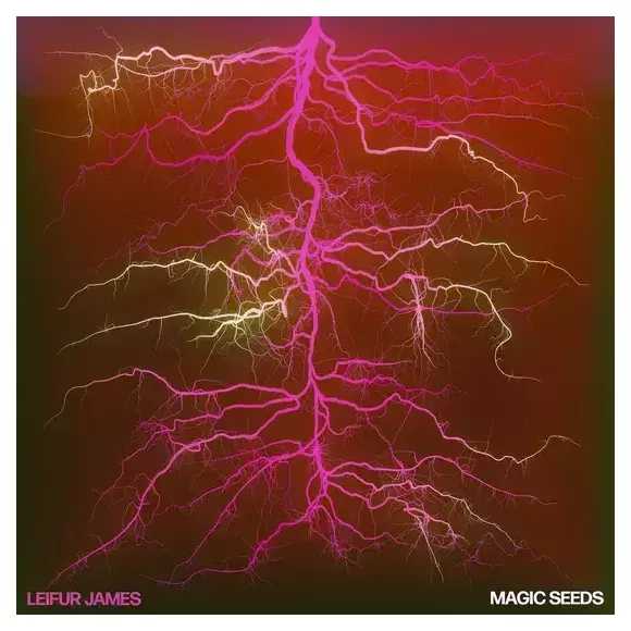 MAGIC SEEDS