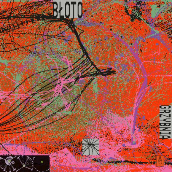 GRZYBNIA (2024)