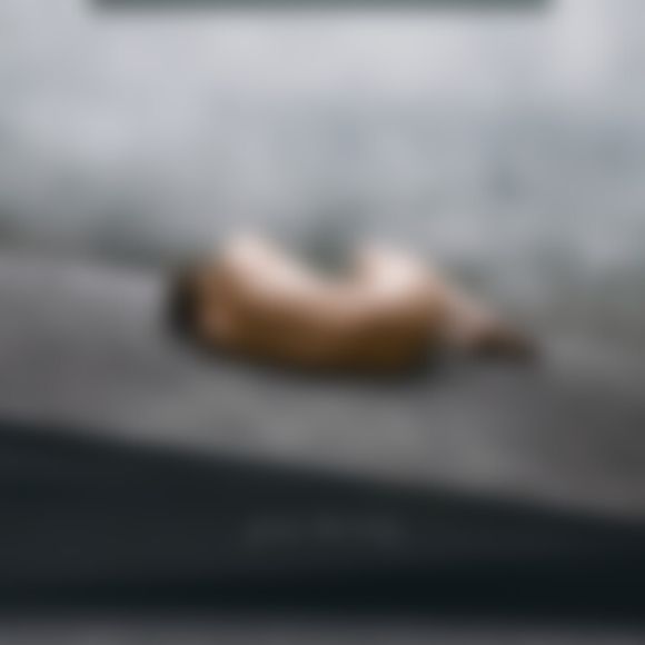 PREHENSION