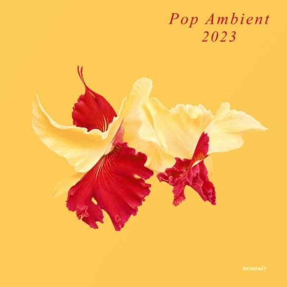 POP AMBIENT 2023 (2022)