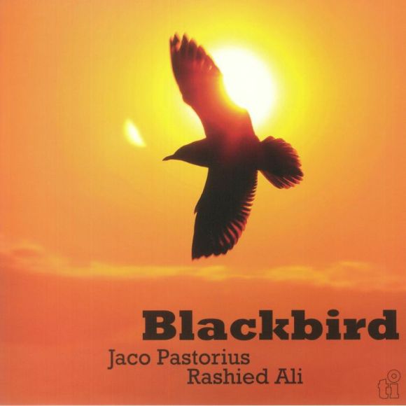 BLACKBIRD (NUMBERED, YELLOW LP)
