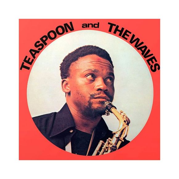 TEASPOON & THE WAVES