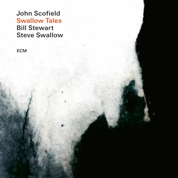 SWALLOW TALES