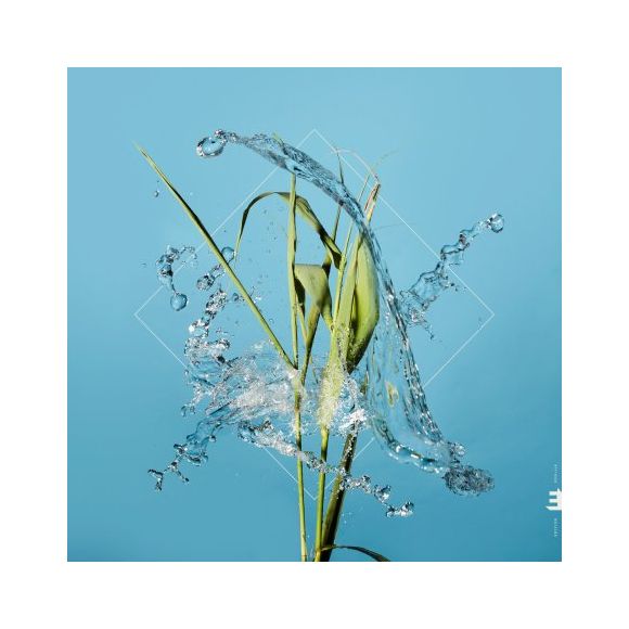 STREAM (CRYSTAL CLEAR LP)