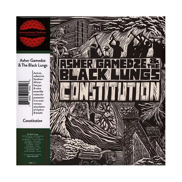 CONSTITUTION