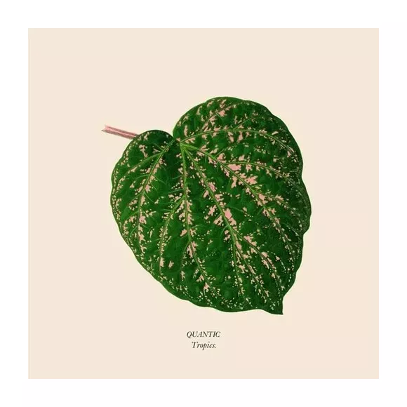 TROPICS 12''
