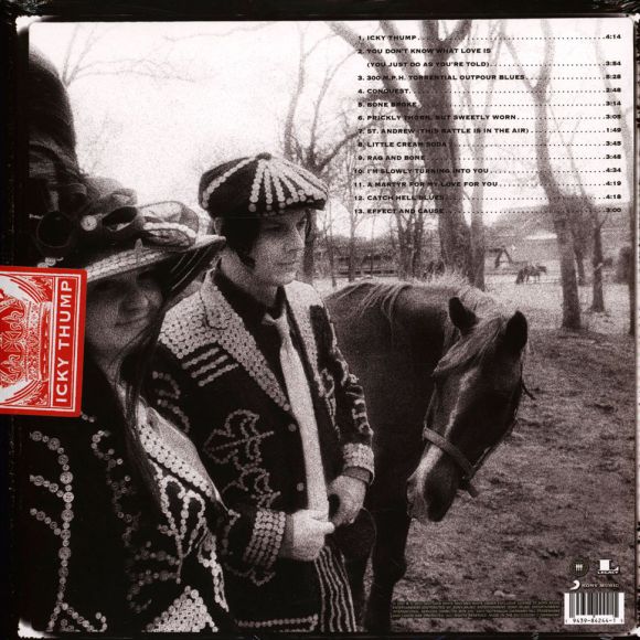 ICKY THUMP, изображение 2