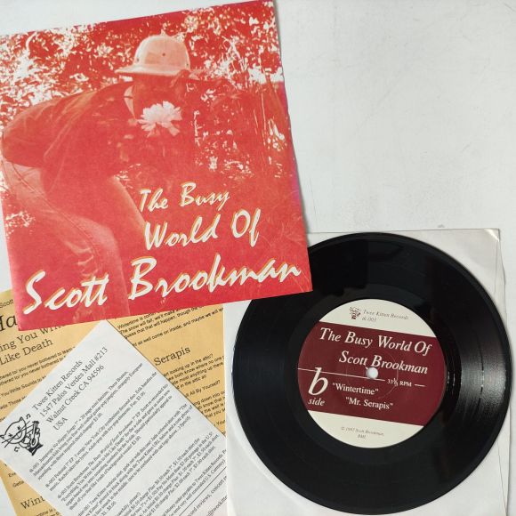 THE BUSY WORLD OF SCOTT BROOKMAN, изображение 2