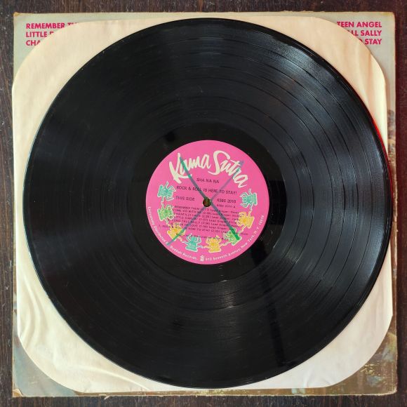 ROCK & ROLL IS HERE TO STAY!, изображение 6