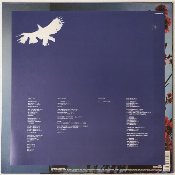 BUDGERIGAR, изображение 3