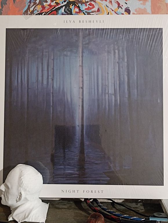 NIGHT FOREST (2016)