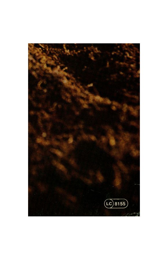 ZWEISAMKEIT (IST DIE SCHÖN'RE ZEIT) (1982), изображение 12