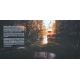 THE LAST OF US (2023), изображение 16