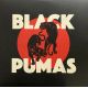 BLACK PUMAS (2021)