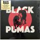 BLACK PUMAS (2021), изображение 7