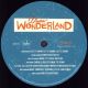 WINTER WONDERLAND (2017), изображение 8
