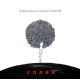 РЕВЕРСИВНАЯ ХРОНИКА СОБЫТИЙ (2013)