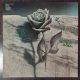 DEATH AND THE FLOWER, изображение 3