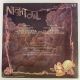 NIGHT OWL, изображение 2